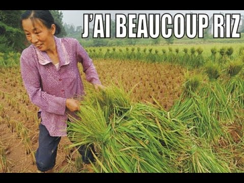 Isabelle Balkany et Grain de riz, son employé cambodgien - Quotidien