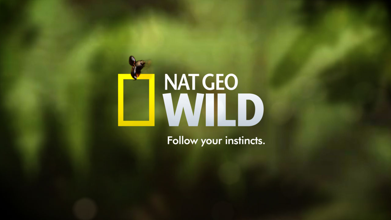 Nat Geo Wild - Forum