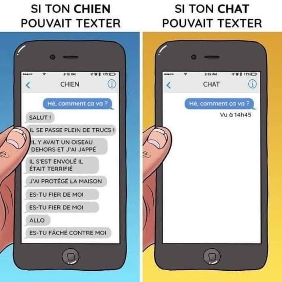 text alternatif